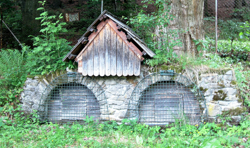 jiný vodní zdroj Uzgrúň (1436) - červen 2009