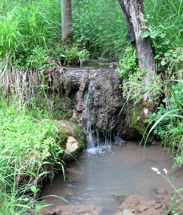 pramen Bratřejůvka (1440) - červen 2009