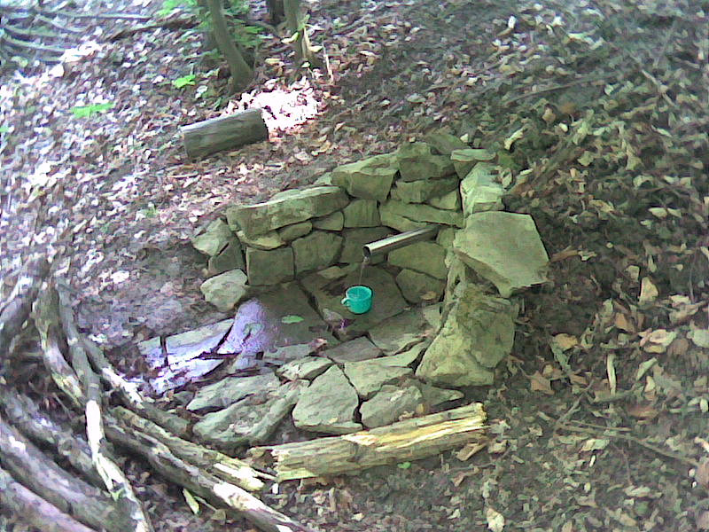 pramen Lesní (1441) - červen 2009