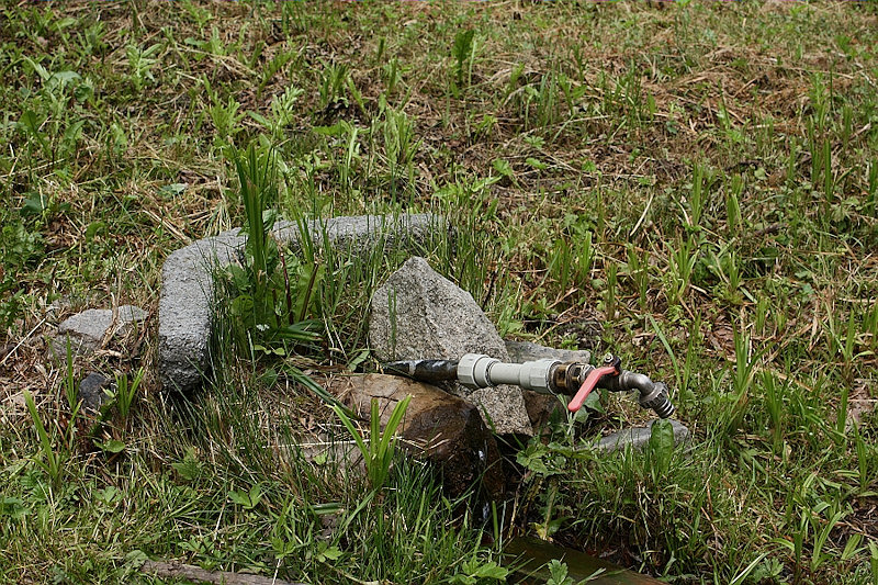 jiný vodní zdroj Na Domoraci (1445) - červen 2009