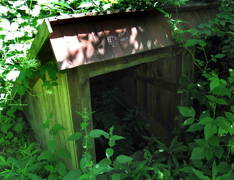 studánka Pod Babí horou I (1446) - červen 2009
