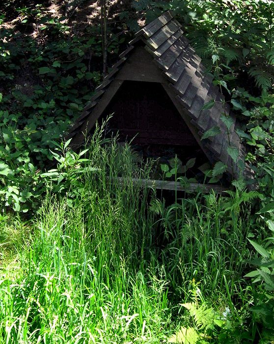 studánka Pod Babí horou II (1447) - červen 2009