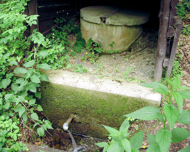 studánka V Černém lese (1455) - červen 2009