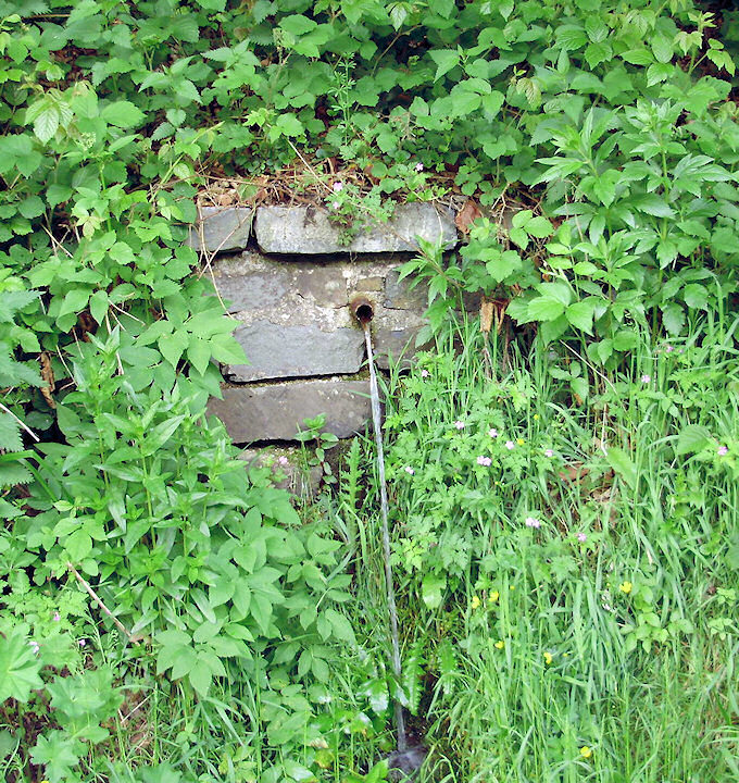 pramen V Lužném (1456) - červen 2009