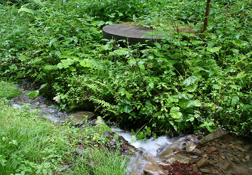 Studna v Čeladném (1470) - červen 2009