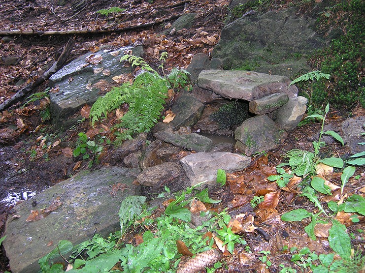 studánka Pod bukem (1481) - červen 2009
