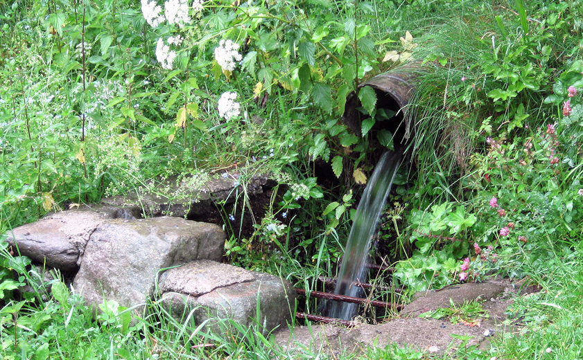 pramen Pod Kyčerkou (1487) - červen 2009