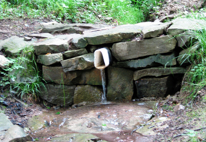 pramen Pod Lysným (1488) - červen 2009