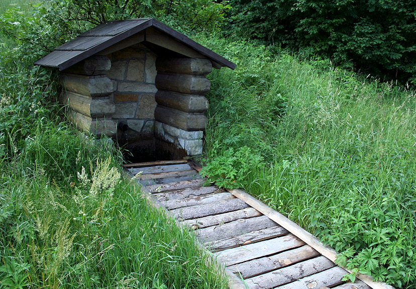 studánka U benzinky (1491) - červen 2009
