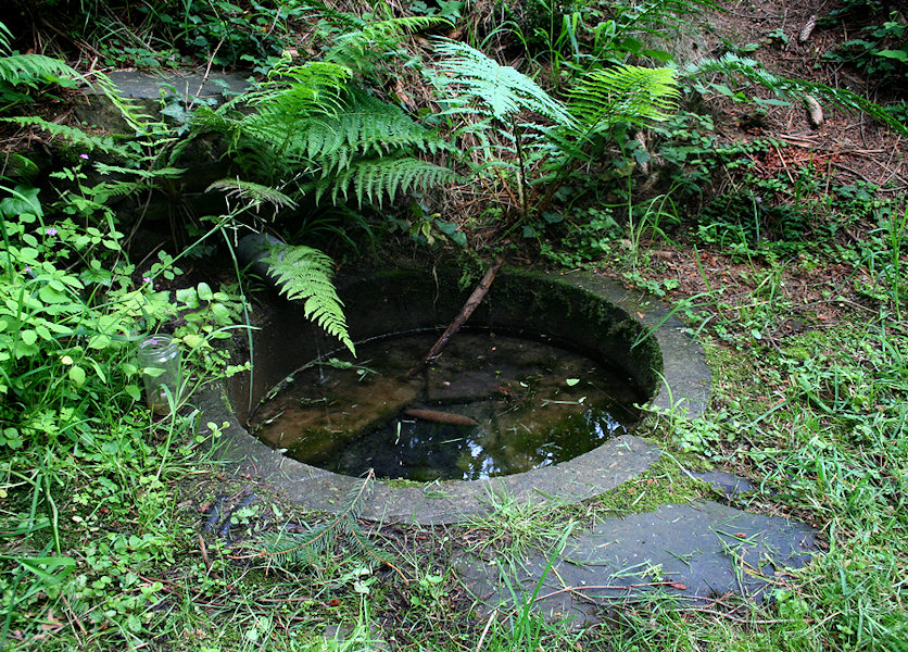 studánka Na Pulčínské cestě (1493) - červen 2009