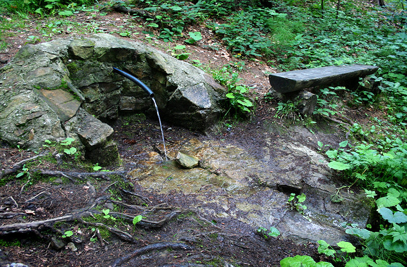 studánka Bílá voda (1495) - červen 2009
