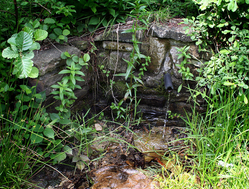 studánka Myšházka (1496) - červen 2009