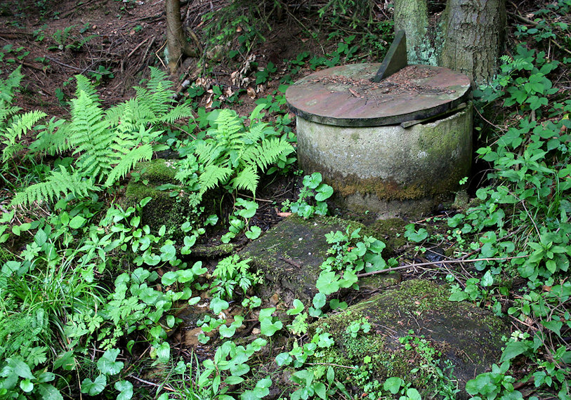 studna U Myslivecké chaty (1498) - červen 2009