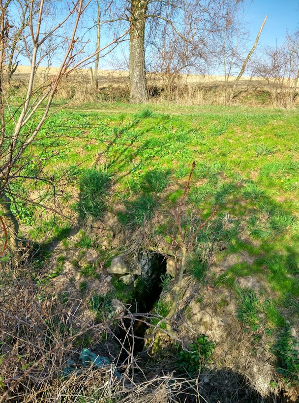 Portlíkova Studánka (163) - datum neznámé