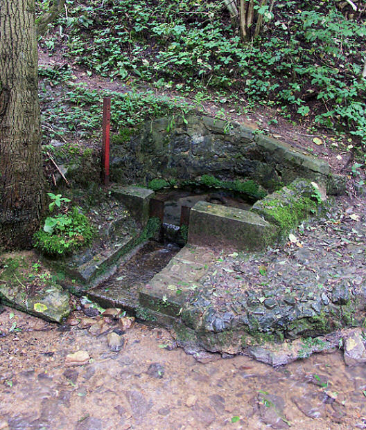 Karlova studánka (190) - únor 2008