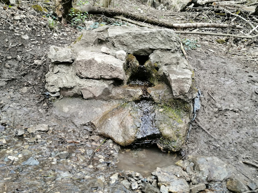 studánka Stydlá voda (195) - duben 2021
