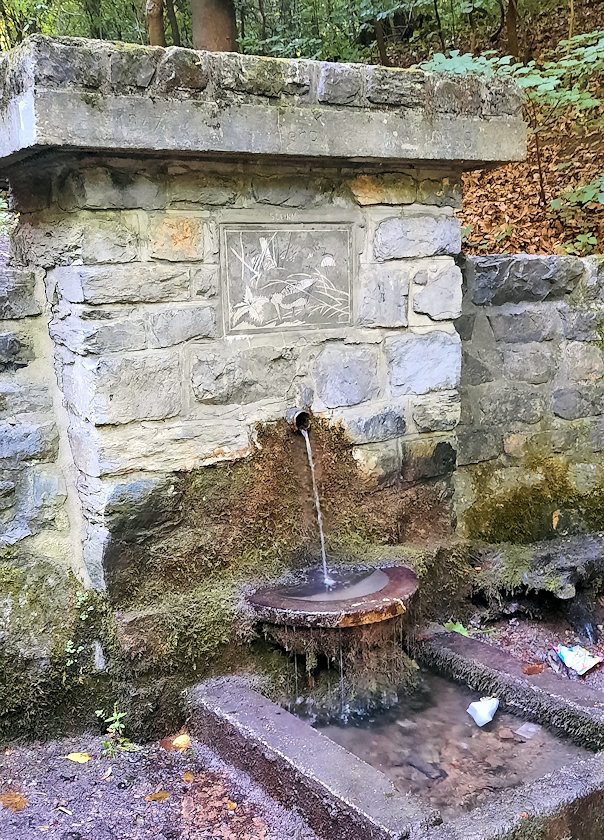studánka Slučí (209) - červenec 2022