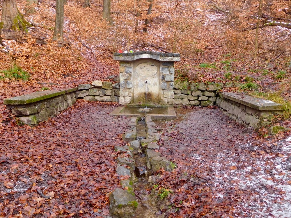 studánka Srnčí (210) - leden 2025