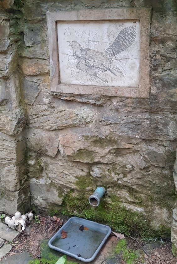 studánka U kukačky (214) - září 2023