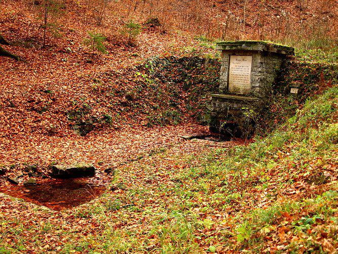 studánka Prosba lesa (216) - březen 2008
