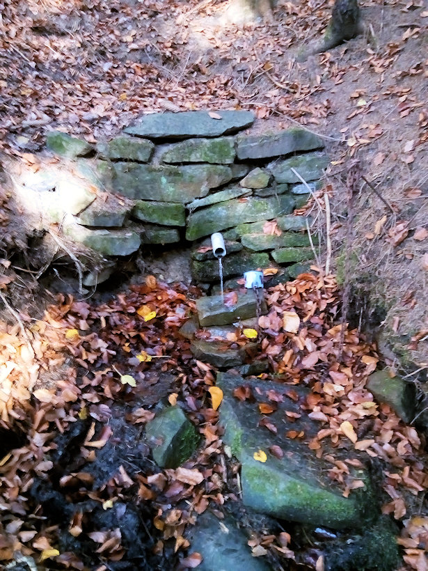 studánka U Huberta (219) - říjen 2019