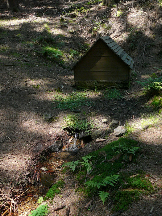 studánka bez jména (242) - březen 2008