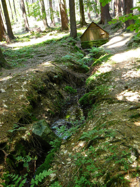 studánka bez jména (243) - březen 2008