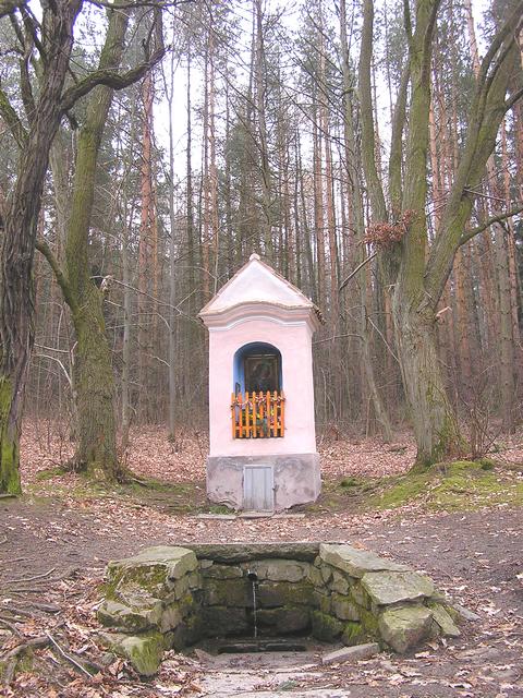 studánka U dobré vody (244) - březen 2008