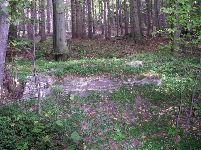 pramen U lesního muže (281) - březen 2008