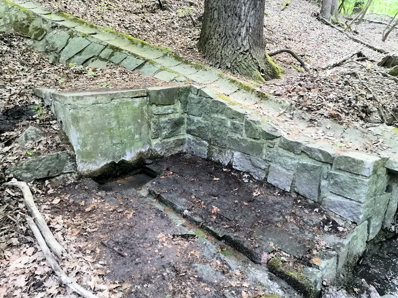 studánka Krychle (317) - květen 2022