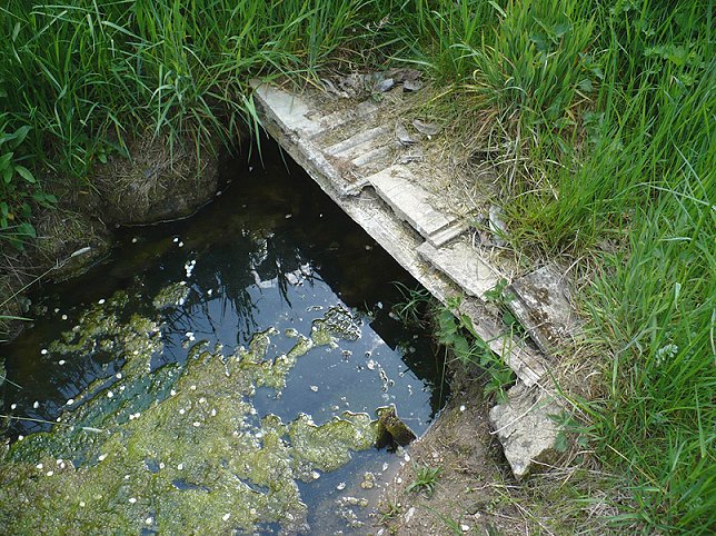 studánka bez jména (344) - květen 2008