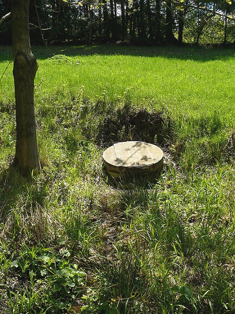 studánka bez jména (345) - květen 2008