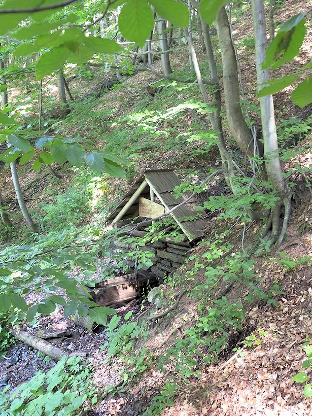 studánka Laďův pramen (350) - datum neznámé