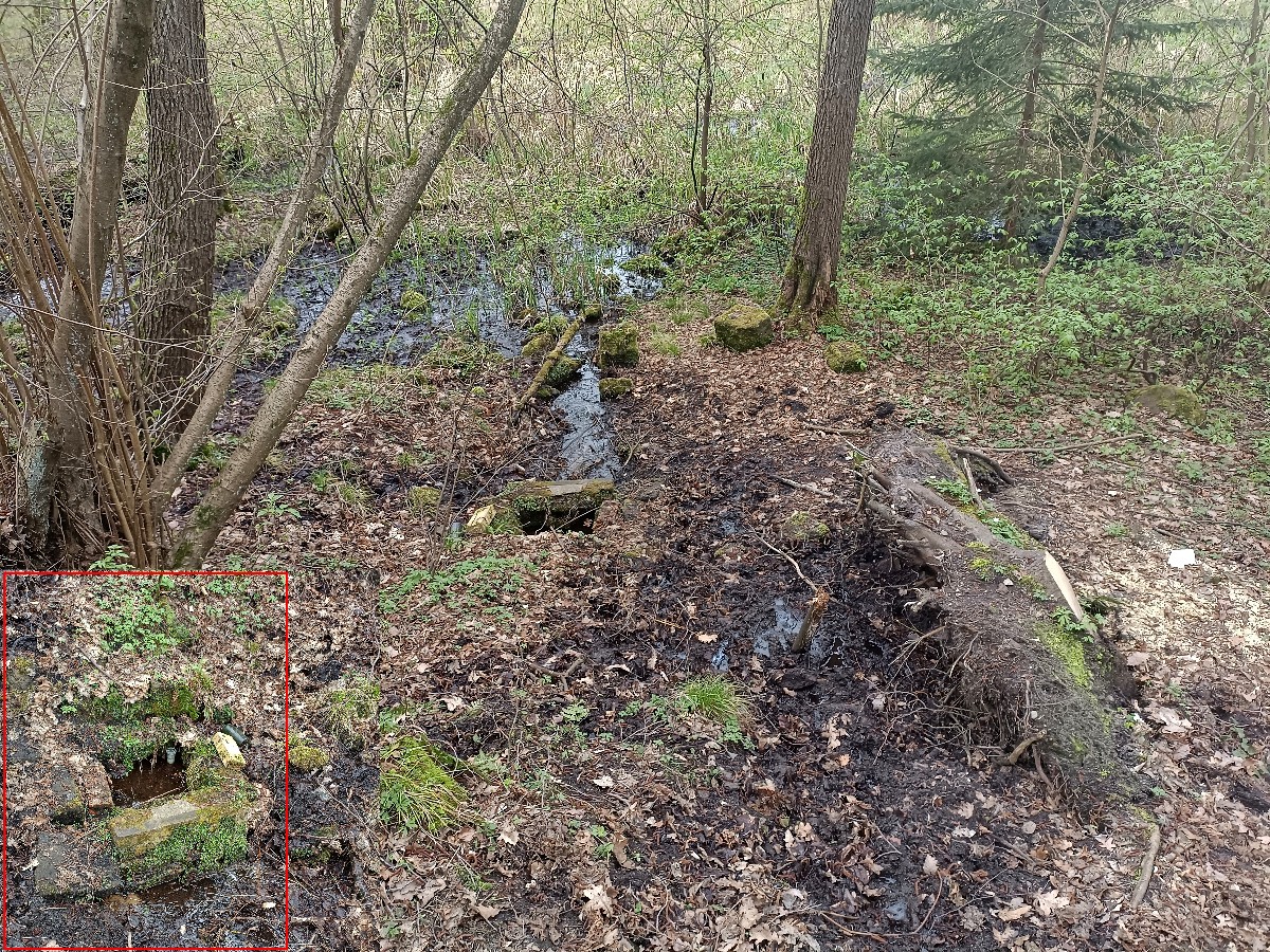 studánka bez jména (352) - březen 2024
