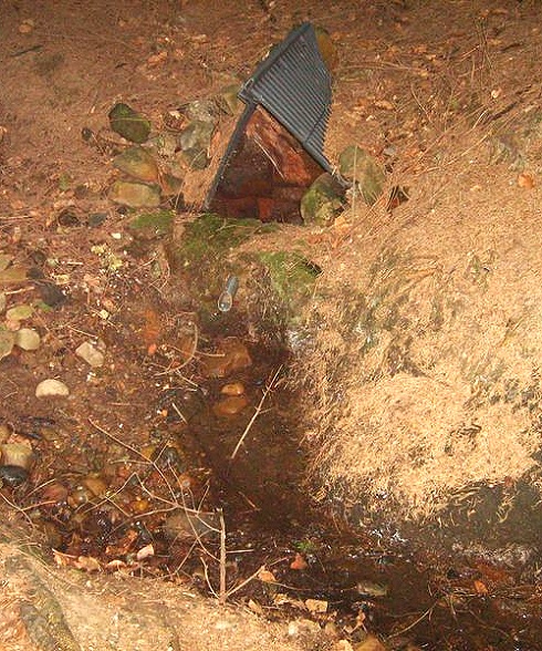 studánka bez jména (395) - srpen 2008