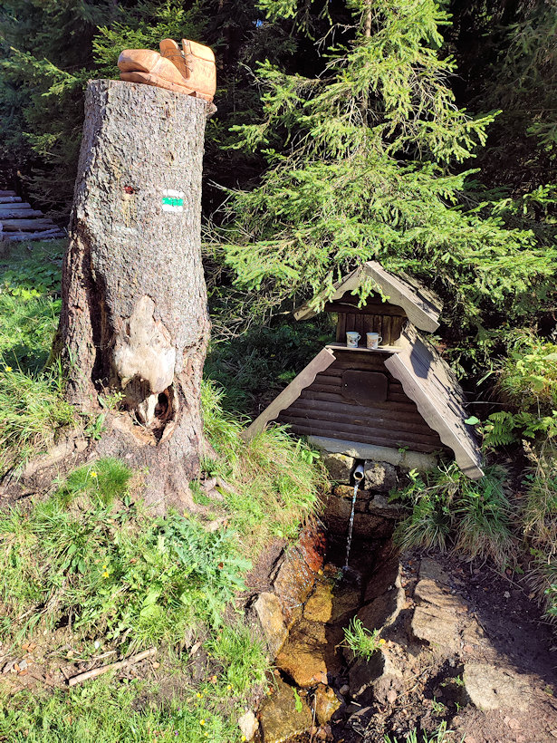 jiný vodní zdroj Fischerova studánka (411) - říjen 2021