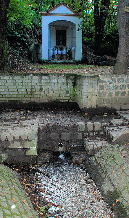 pramen Zázračná studánka (415) - červenec 2022