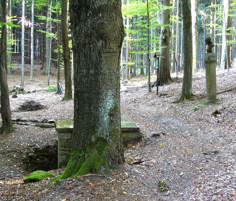 Žižkova studánka (440) - září 2008