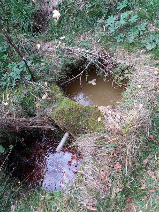 studánka Brtenská kyselka (498) - říjen 2019