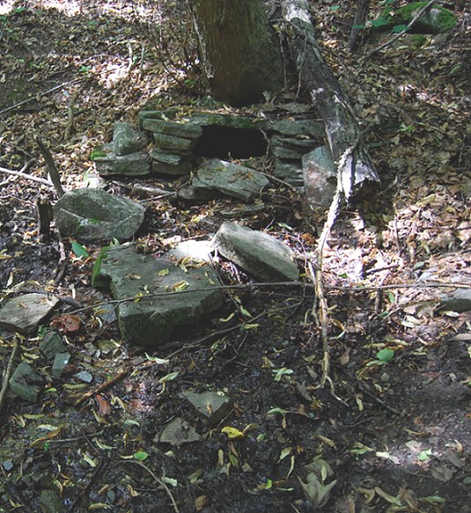 studánka U Strážnice (511) - září 2008
