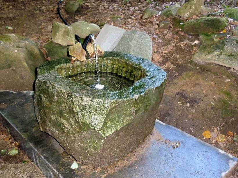 Křižná studánka (556) - září 2008