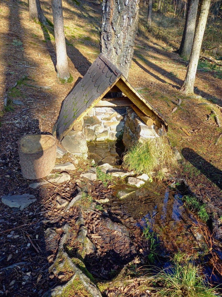 studánka U Eliščiny cesty (559) - leden 2025