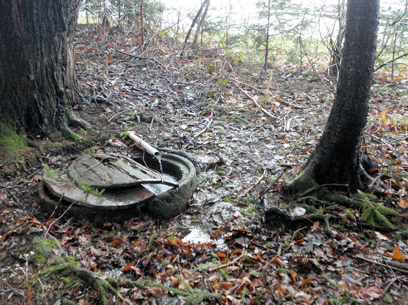 studánka Nad Trojicí (566) - září 2008