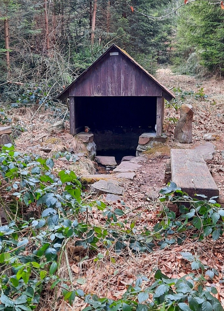 Drmotova studánka (581) - únor 2025