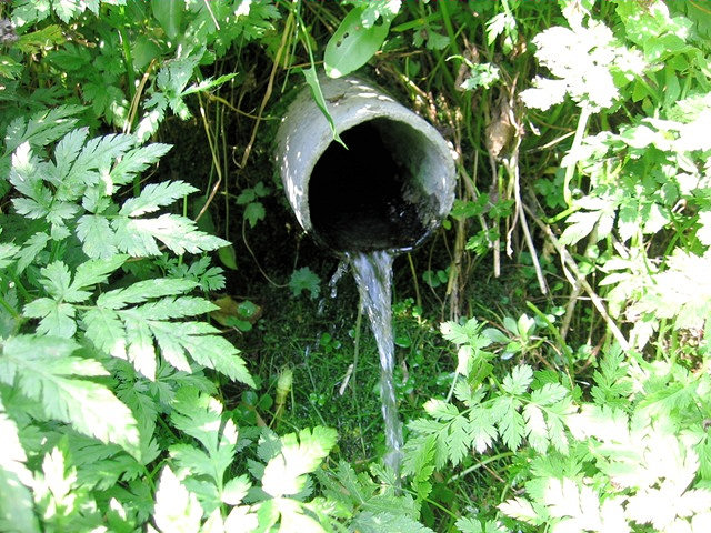 pramen U Křížku (587) - říjen 2008