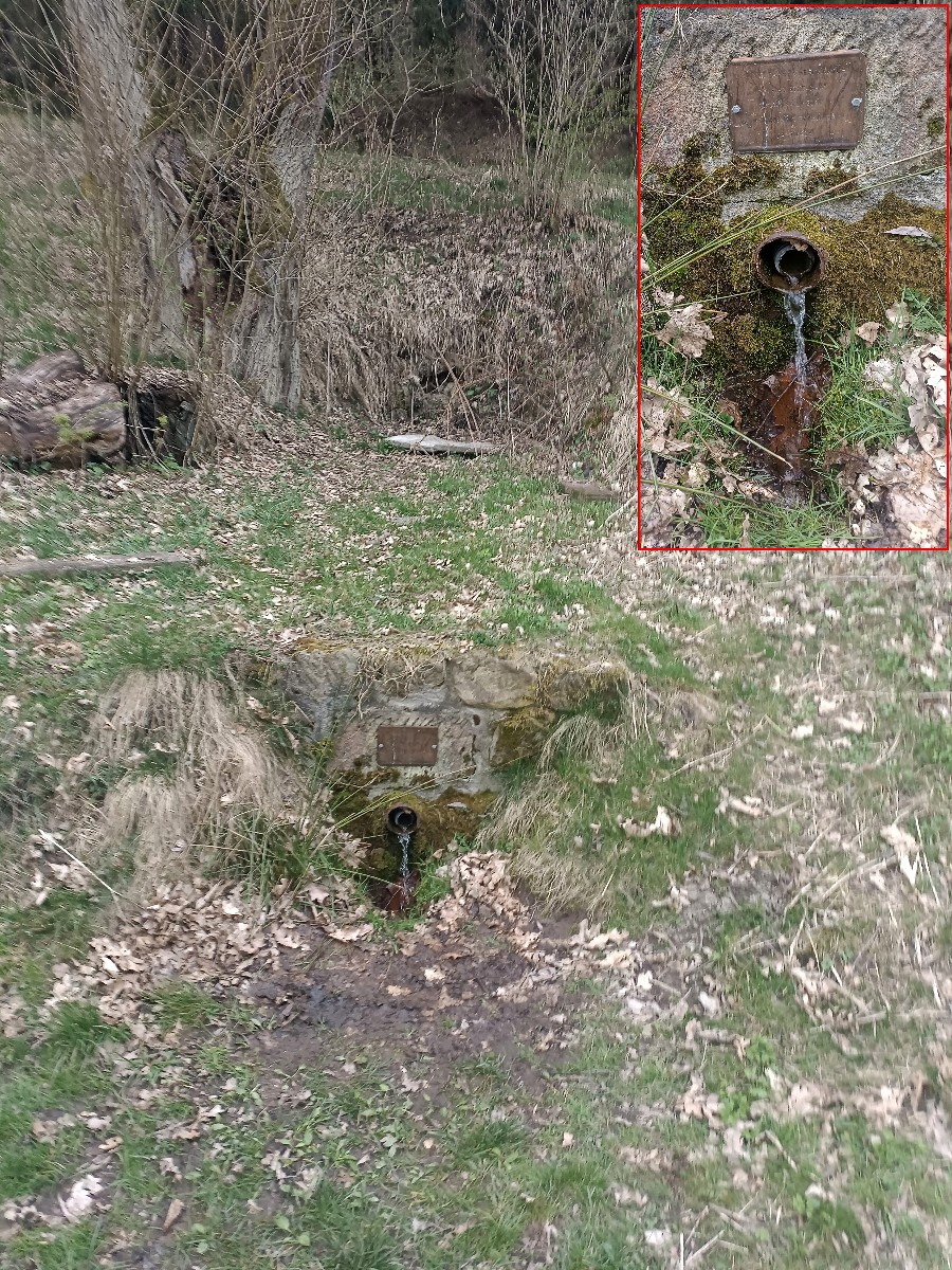 Mikiho studánka (595) - březen 2024