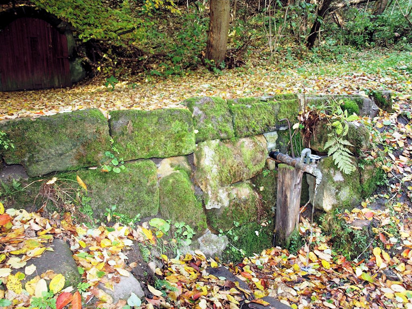 pramen Pod Nedvězím (604) - říjen 2008