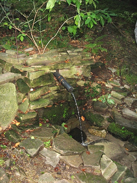 studánka 299 (607) - říjen 2008