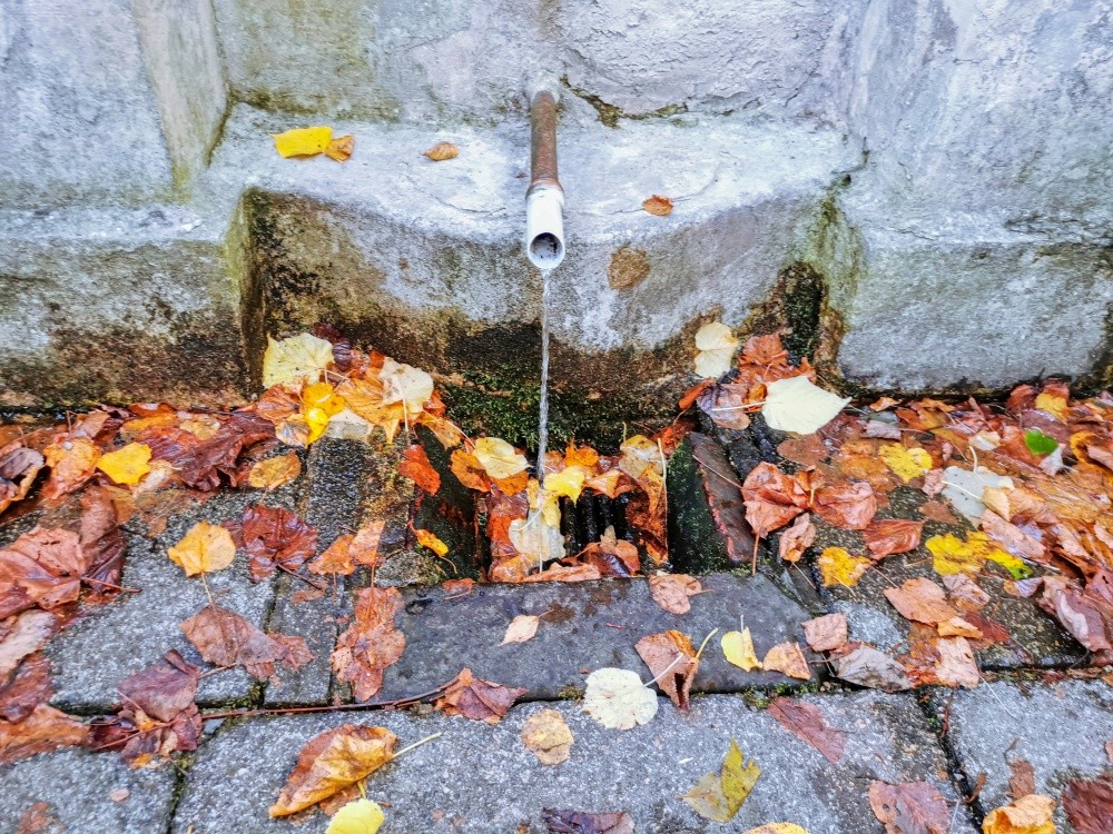 studánka Vilémovský léčivý pramen (638) - září 2025
