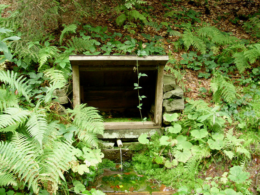 studánka Kamenárka (650) - říjen 2008
